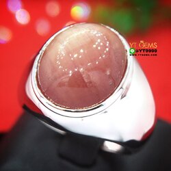 แหวนทับทิมกินบ่เซี่ยง (พลอยหายาก) แหวนเงินแท้ 92.5% ชุบทองคำขาว ประดับ พลอยทับทิมกินบ่เซี่ยงแท้ (สะท้อนเหลือบ) หน้าแหวน 1.65 ซม. YTG-10538 YTGEMS