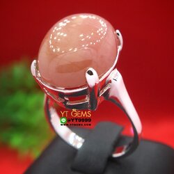 แหวนทับทิมกินบ่เซี่ยง (พลอยหายาก) แหวนเงินแท้ 92.5% ชุบทองคำขาว ประดับ พลอยทับทิมกินบ่เซี่ยงแท้ (สะท้อนเหลือบ) หน้าแหวน 1.7 ซม. YTG-10534 YTGEMS