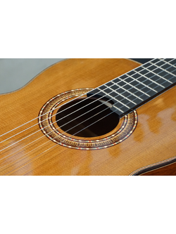 Gotar G26/C Classical กีต้าร์คลาสสิค