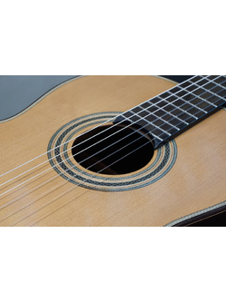 Gotar Gotama Friederich/C Classical กีต้าร์คลาสสิค