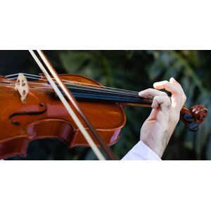 ไวโอลิน วิโอล่า และอุปกรณ์