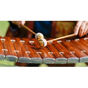 ดนตรีไทย