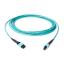 MPO Female to MPO Female 8 Fibers OM3 Multimode
