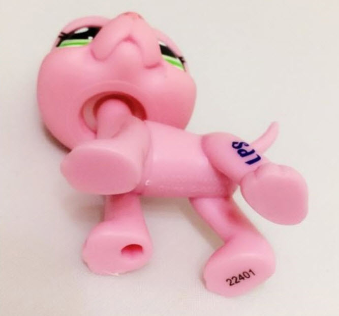 สุนัขเกรดเดน สีชมพู ตาสีเขียว