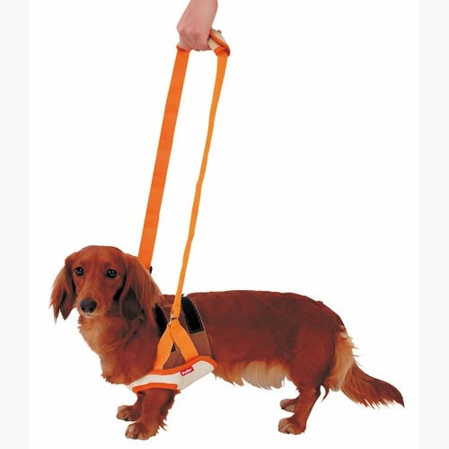 Petio Zuttone(Japan) ที่ช่วยพยุงสุนัขด้านหน้า