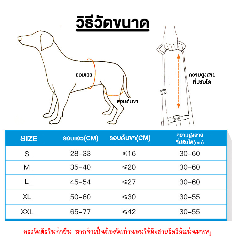 ที่ช่วยพยุงสุนัขด้านหลัง(China)