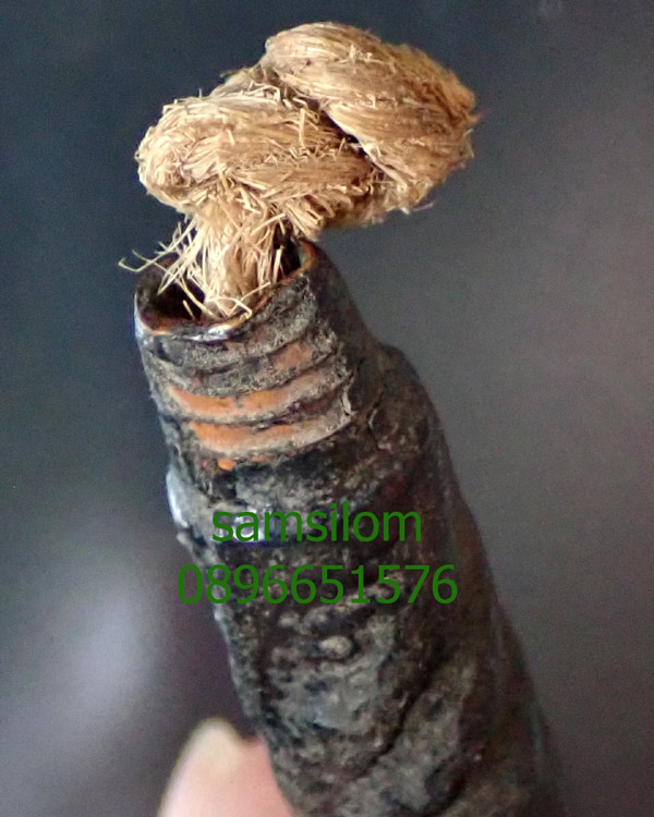 หลวงปู่กลิ่น วัดสะพานสูง ตะกรุดโสฬสมหามงคล ก้นแมงสาป ชุบรัก เชือกเดิม เนื้อทองแดง ยาว4นิ้ว แท้ตาเปล่า