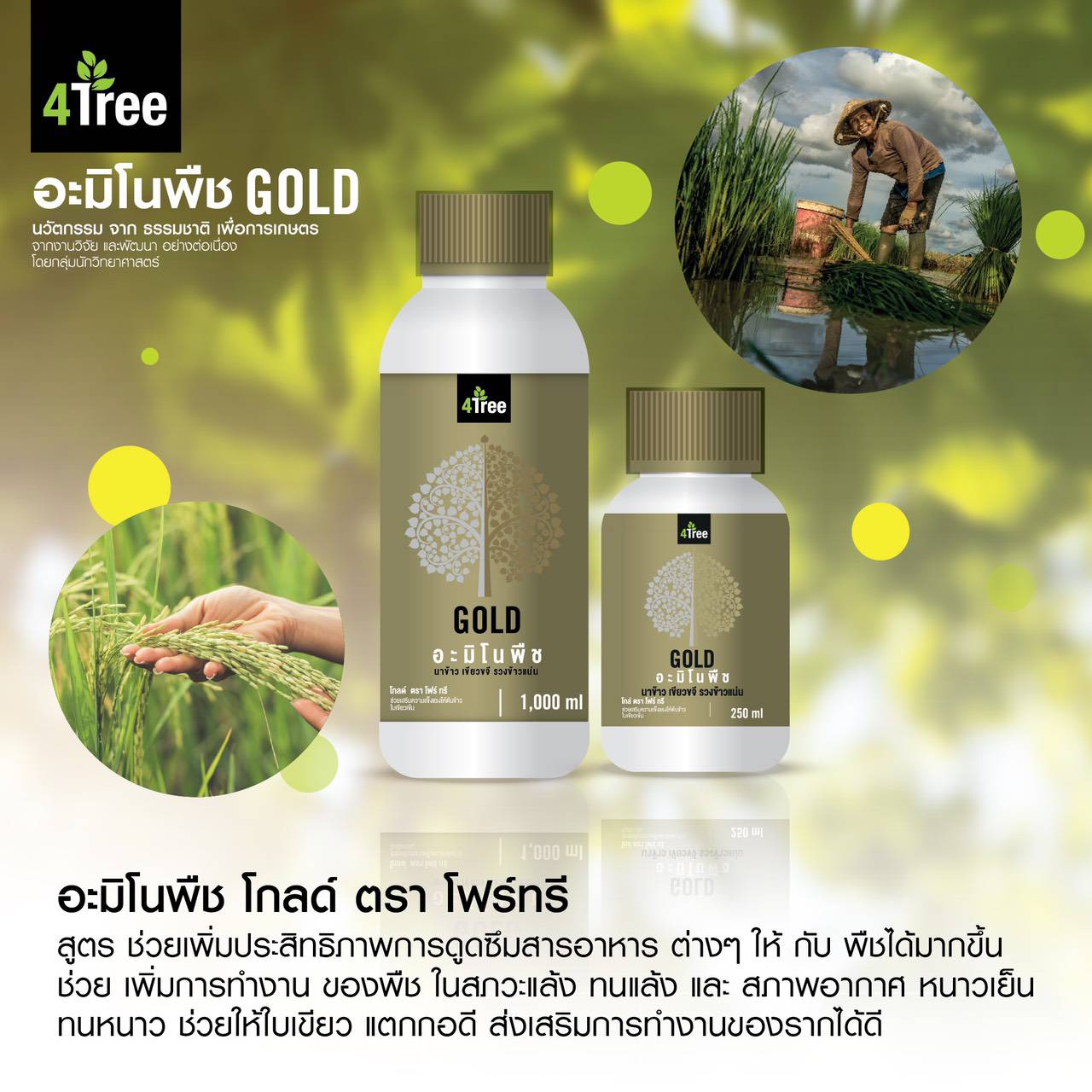 อะมิโนโกล์ด Gold อะมิโนโกล์ด Gold