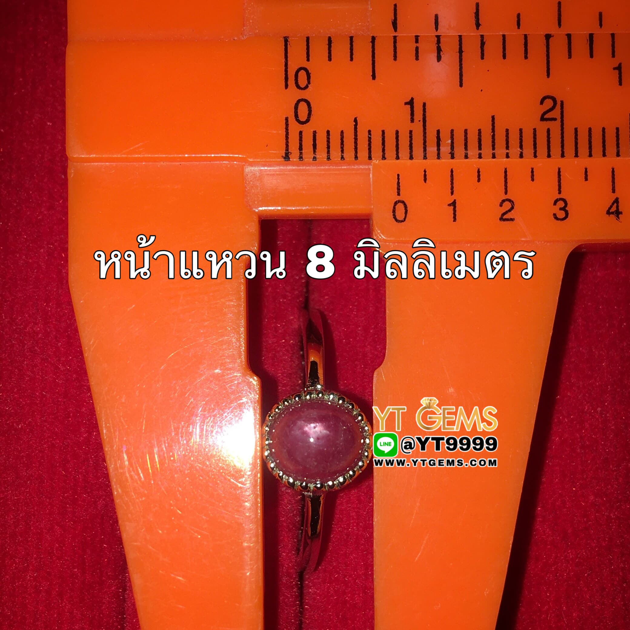 แหวนทับทิมกินบ่เซี่ยง ทับทิมสตาร์ แหวนเงินแท้ 92.5% ชุบทองคำขาว ประดับ พลอยทับทิมกินบ่เซี่ยงแท้ (เหลือบสตาร์เล็กน้อย) หน้าแหวน 8 มม. YTG-10525 YTGEMS