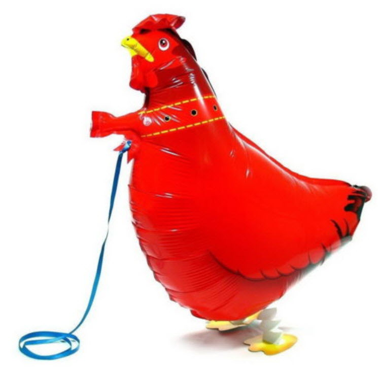 ลูกโป่งฟอยล์ ไก่เดินได้ ขนาด 22 นิ้ว / ใบ