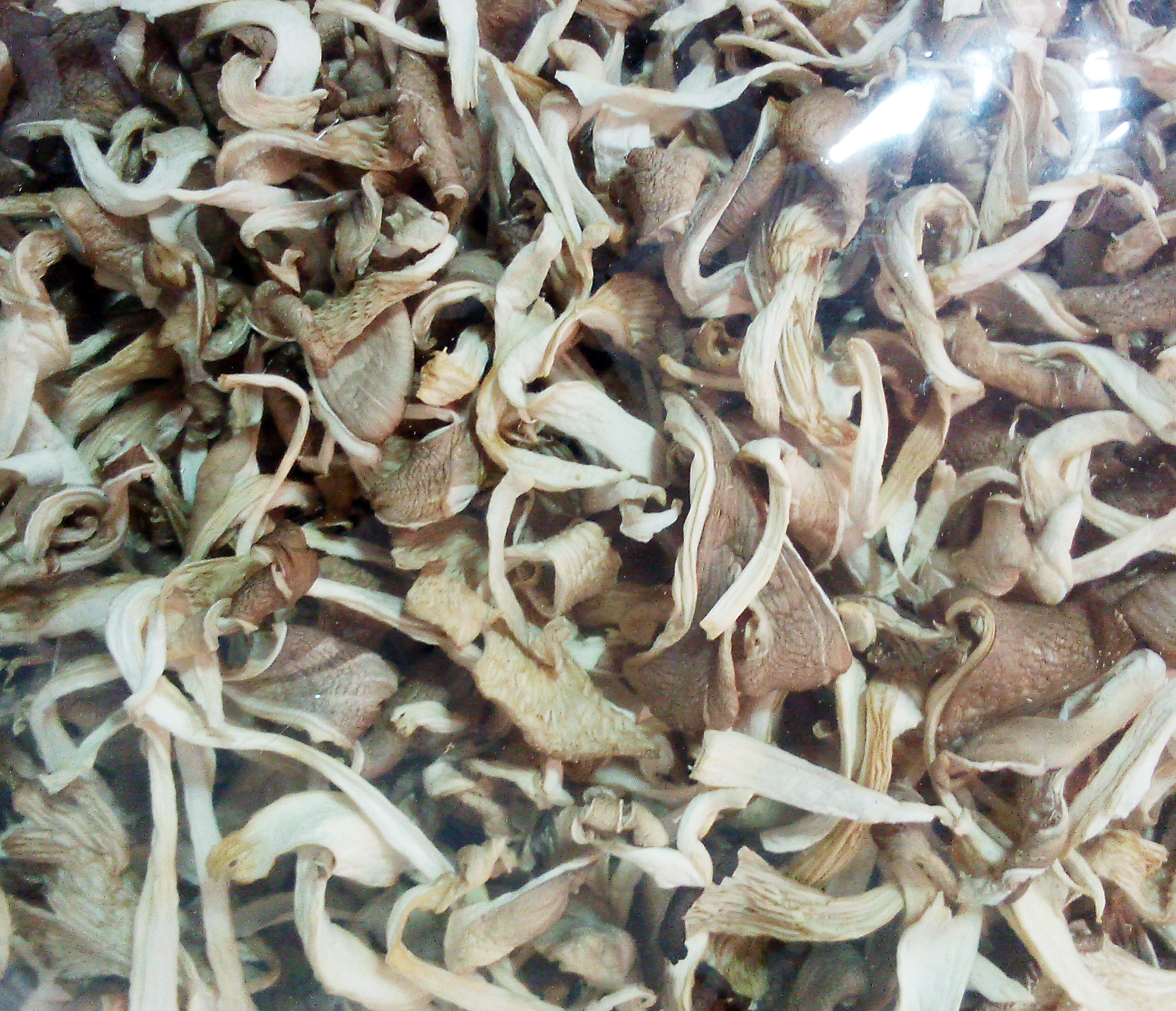 เห็ดนางฟ้าภูฐานอบแห้ง น้ำหนัก 200 กรัม (2 ขีด)