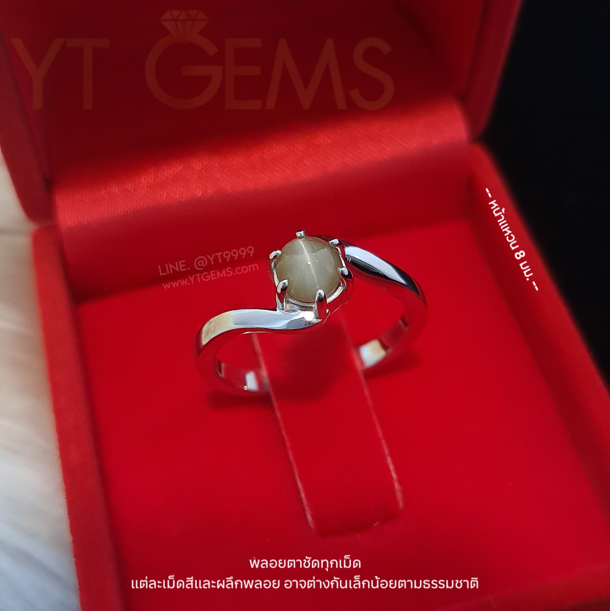 [สำหรับ ราคาส่ง ขั้นต่ำ 5 ชิ้น] แหวนไพฑูรย์ (พลอยแท้หายาก) เงินแท้ ชุบทองคำขาว (Chrysoberyl Cat's Eye) YTG-9635-WH YTGEMS 5 ชิ้น
