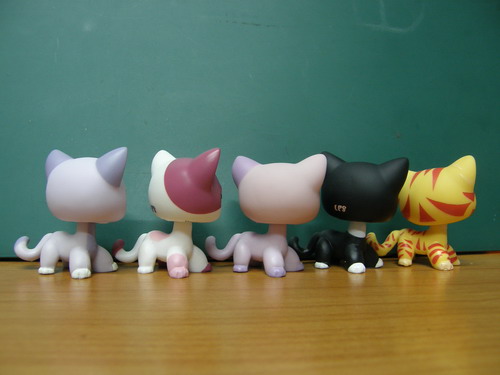 LPS คนรักแมว-2 (ชุด 5 ตัว ยอดนิยม)