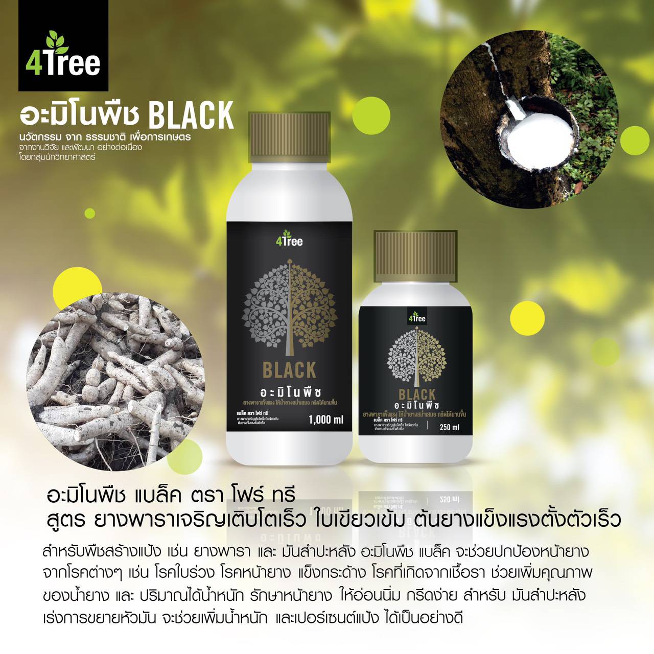 อะมิโนแบล็ค Black อะมิโนแบล็ค Black