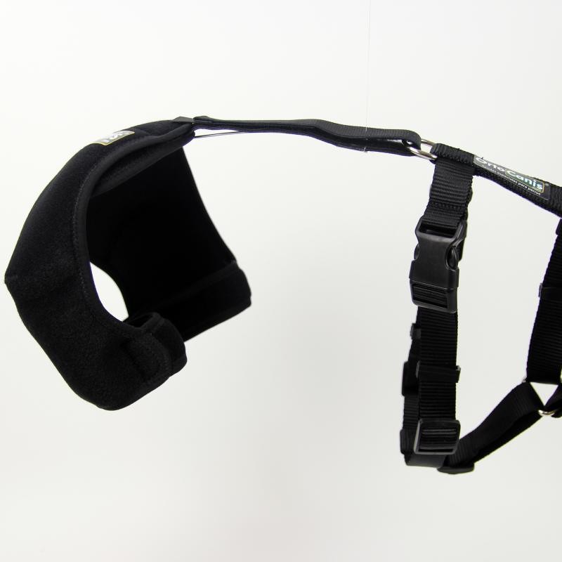 สายรัดสะโพกสุนัข (Hip Brace)