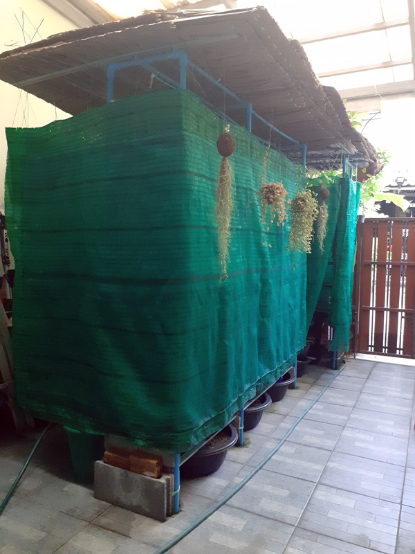 โรงเรือนเลี้ยงไส้เดือน หรือโรงเรือนเพาะเห็ด ขนาด 1x2x2 เมตร