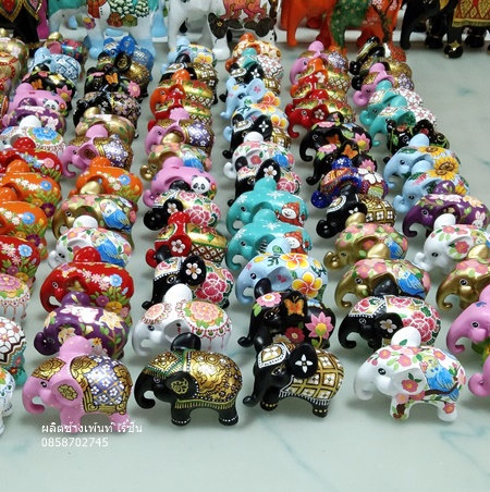 ช้างอว้นหูกลางคละแบบ