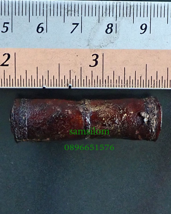 หลวงปู่นาค วัดอรุณ ตะกรุดหนังหน้าผากเสือ ชุบรักน้ำเกลี้ยง ยาว1.6นิ้ว สวย สมบูรณ์ ตัวจริง