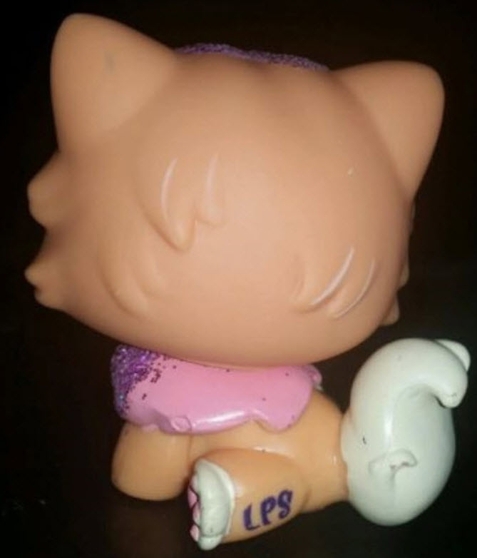 แมวเปอเซีย สีส้ม #2275 แต่งวิ๊งค์