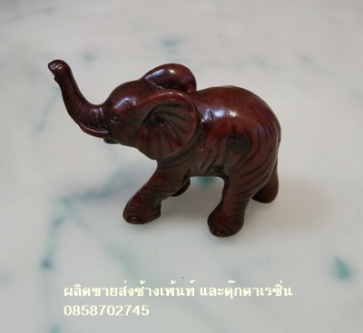 ช้างชูงวงเล็ก
