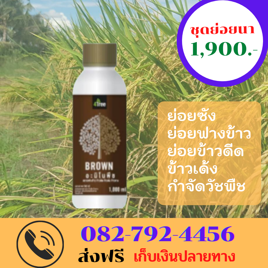 ชุดย่อยซัง ย่อยฝาง