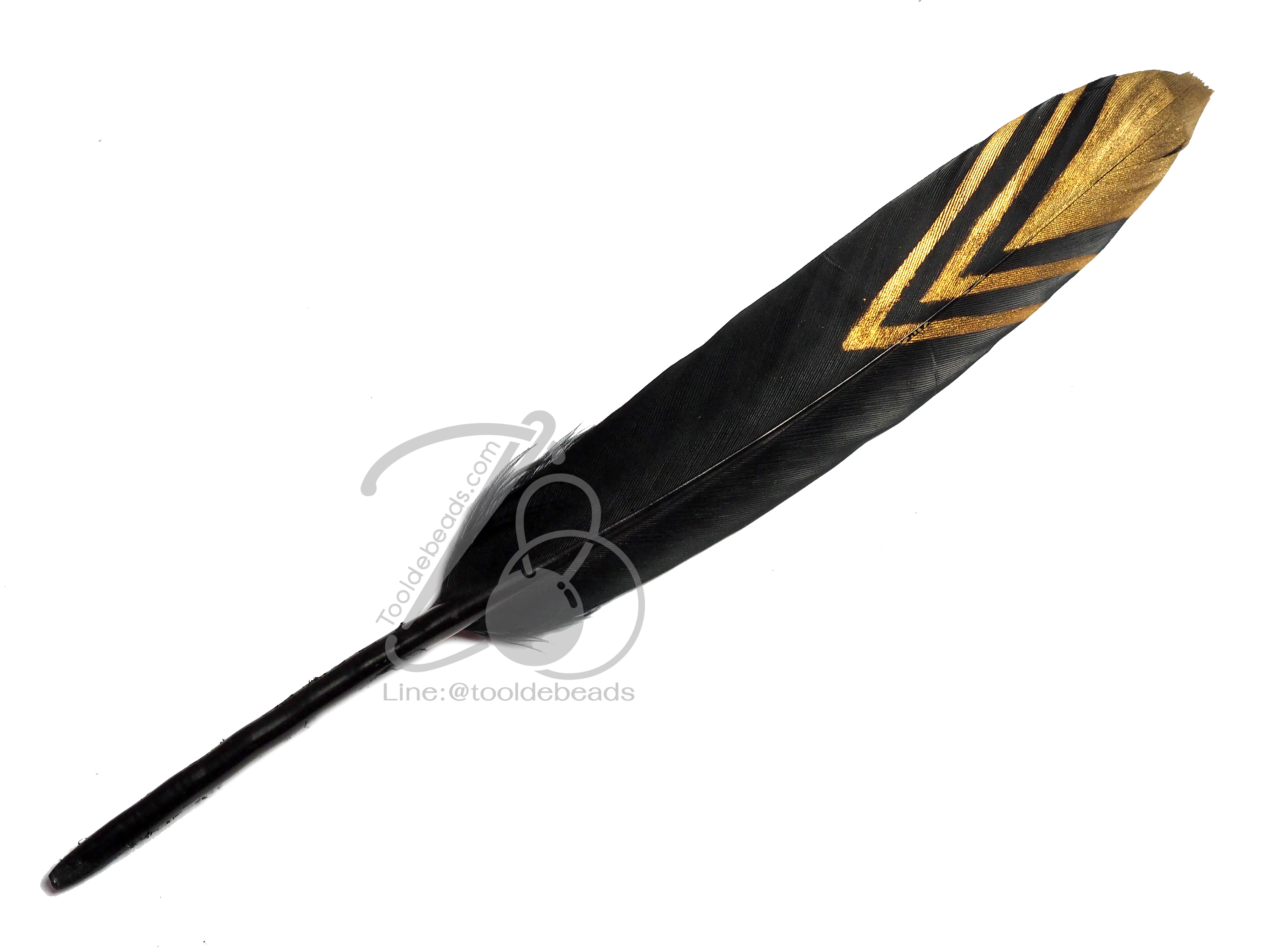 ขนนก 15ซม. ปลายมน สีดำ ขอบทอง (3 ชิ้น) SKU-05801