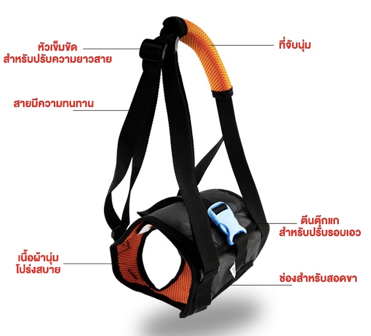 ที่ช่วยพยุงสุนัขด้านหลัง(China)