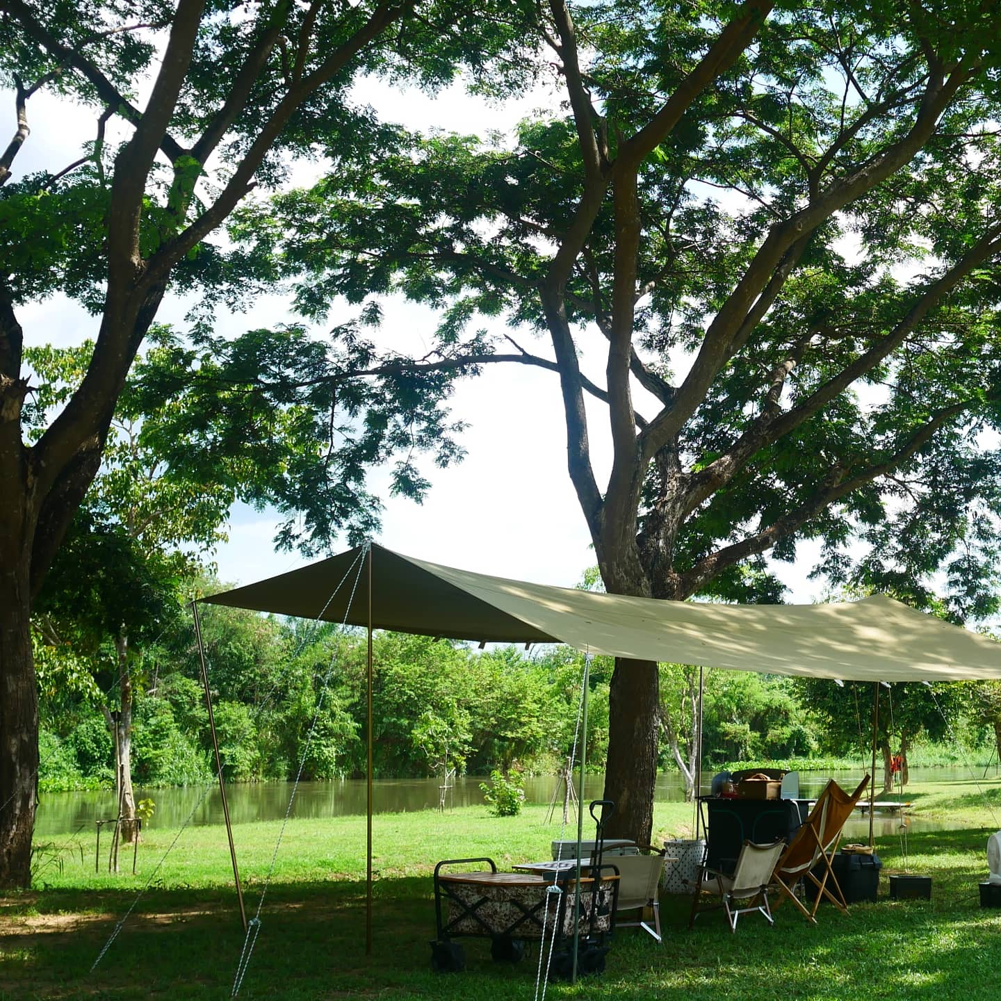 kryo Tarp by CASTLE CAMP