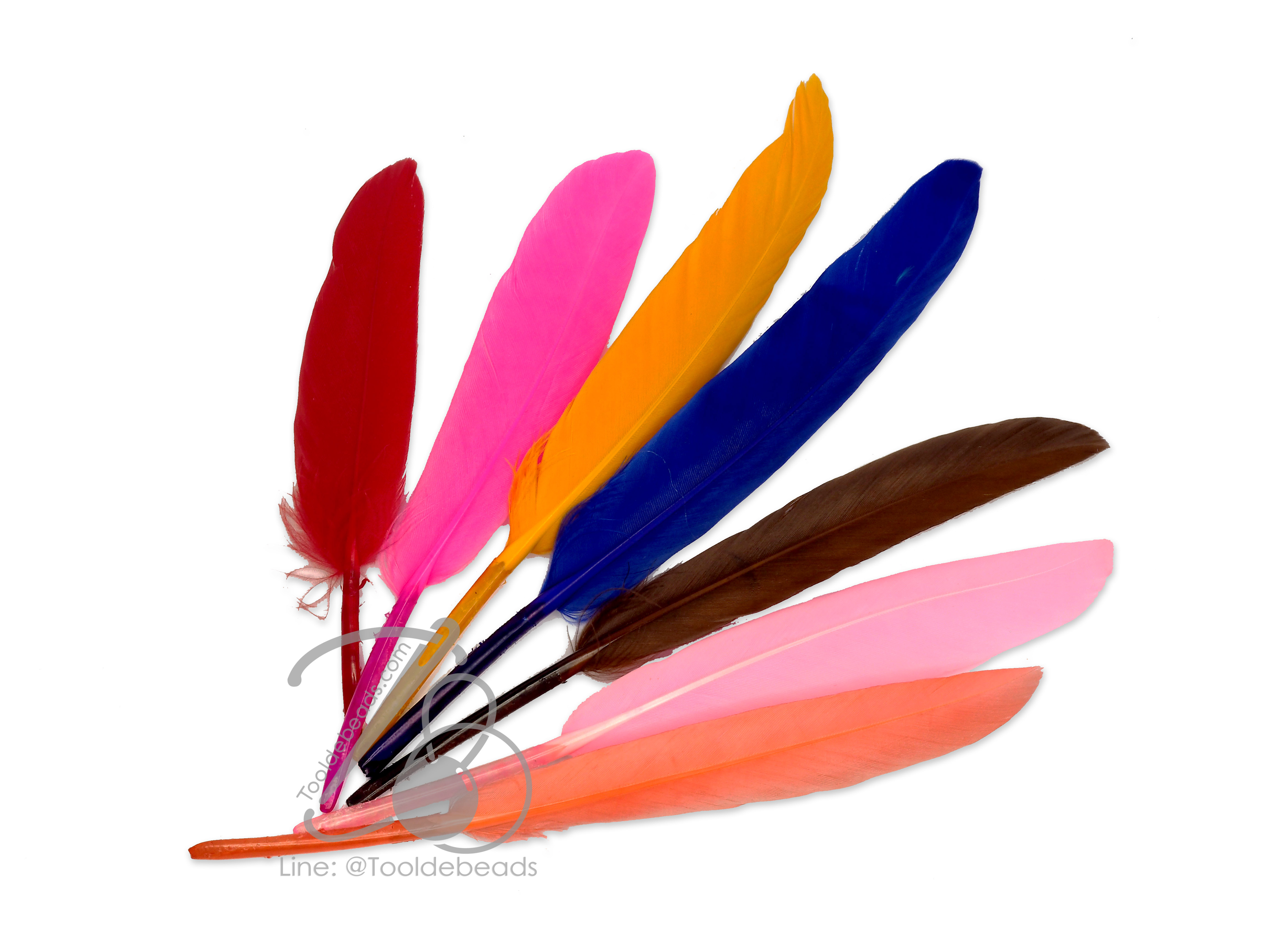 ขนนก 15ซม. ปลายมน (5 ชิ้น) SKU-07587