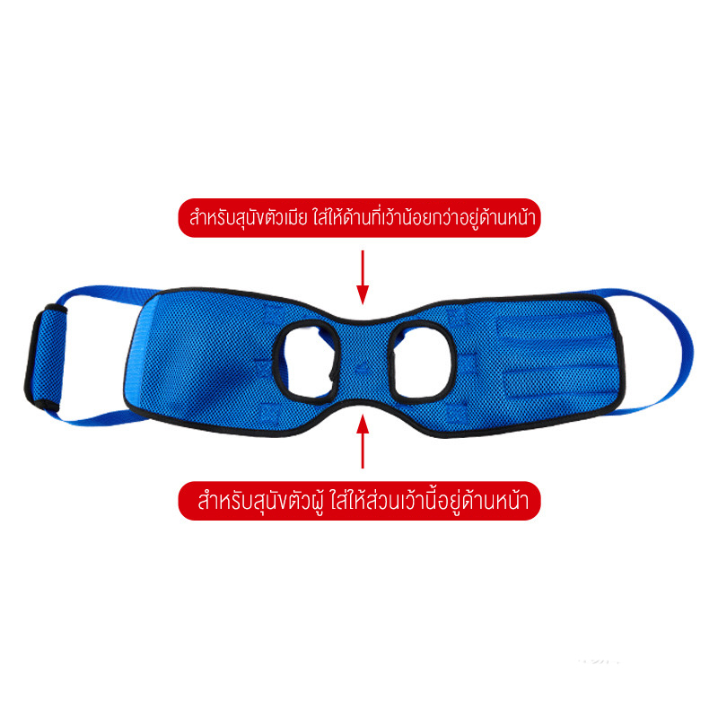 ที่ช่วยพยุงสุนัขด้านหลัง(China)