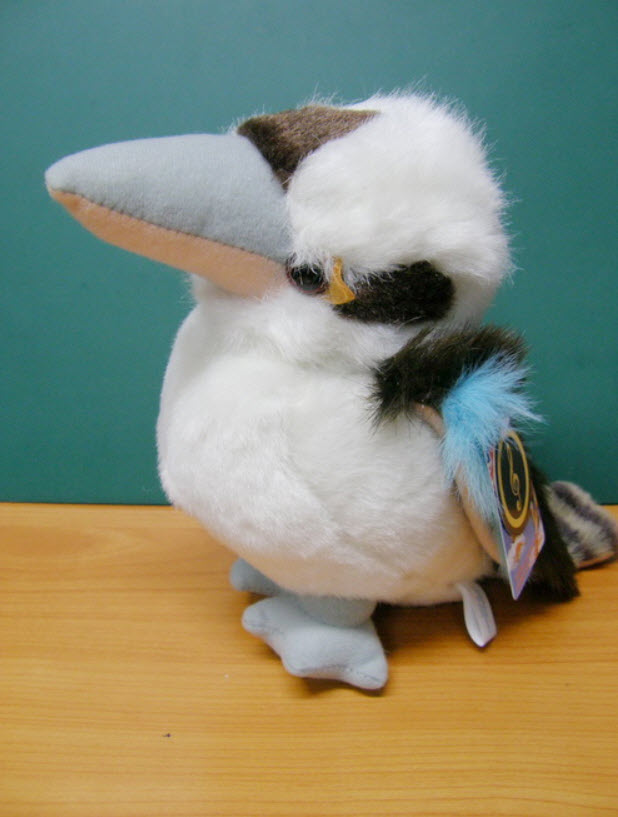 นกคุกคาเบอร่า หัวเราะได้ ขนาด 12 นิ้ว (Australia)