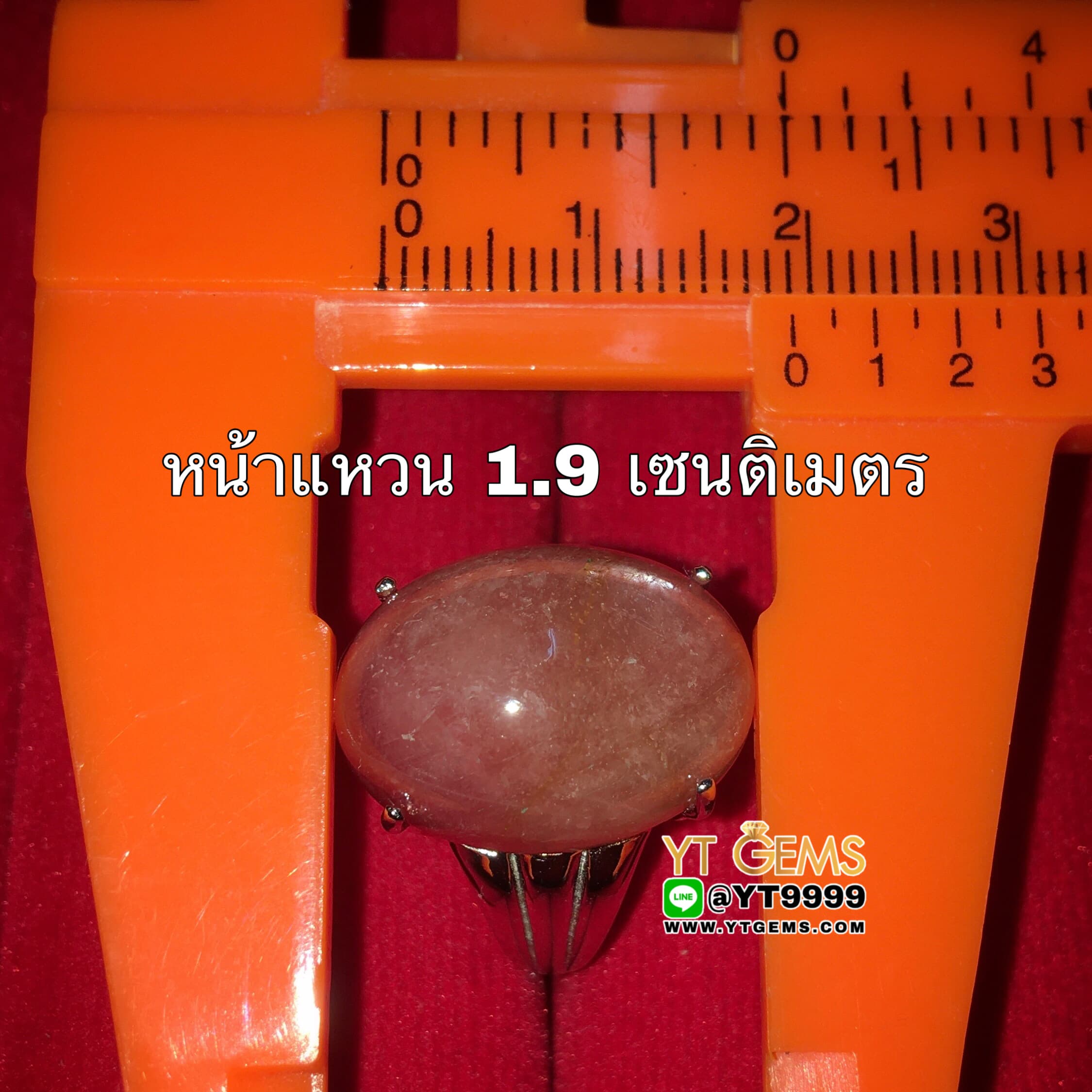แหวนทับทิมกินบ่เซี่ยง (พลอยหายาก) แหวนเงินแท้ 92.5% ชุบทองคำขาว ประดับ พลอยทับทิมกินบ่เซี่ยงแท้ (สะท้อนเหลือบ) หน้าแหวน 1.9 ซม. YTG-10531 YTGEMS