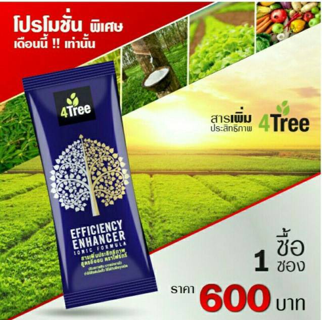4TREE ชุดทดลอง (1 ซอง)