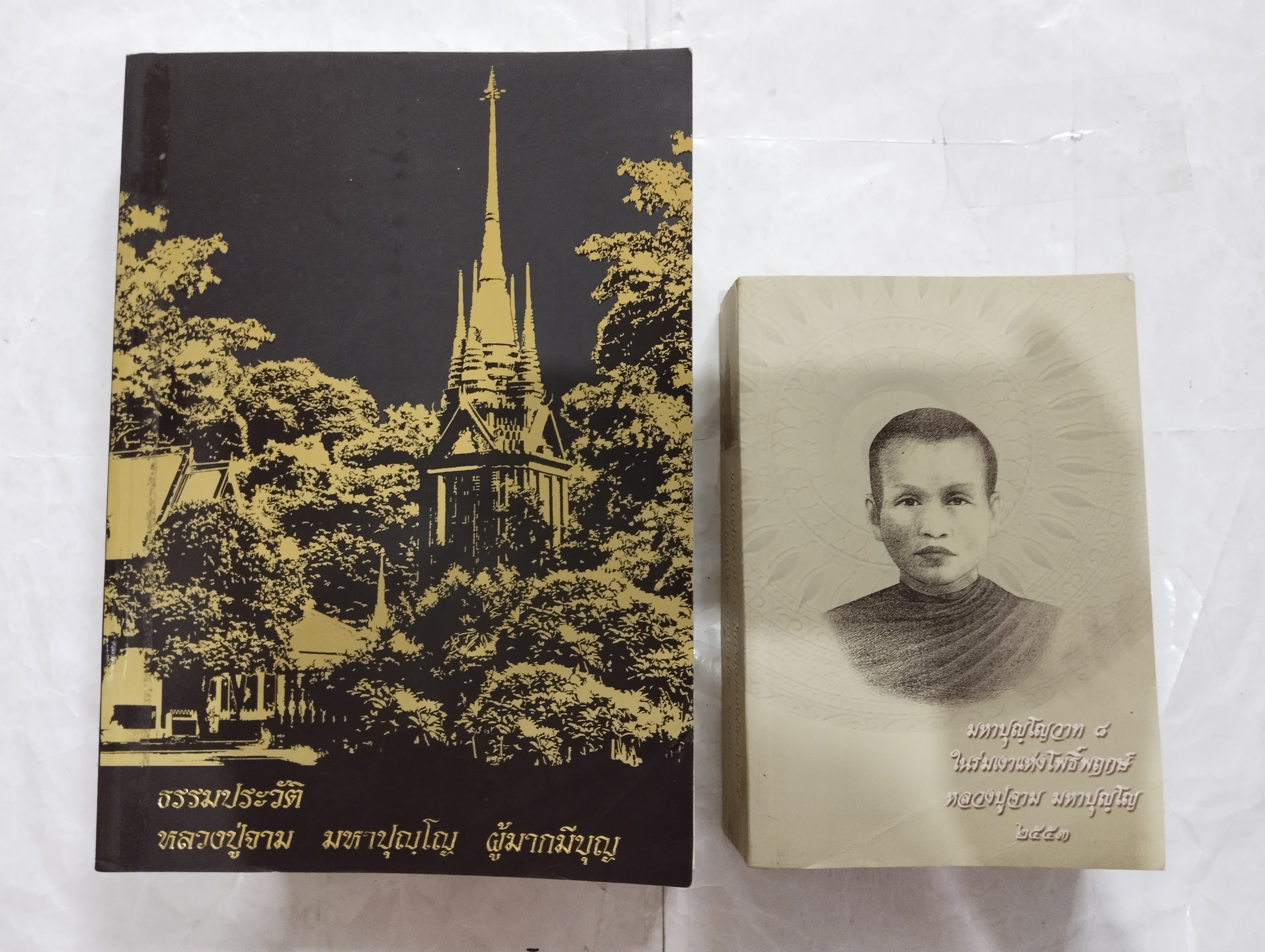 หลวงปู่จาม มหาปุญโญ วัดป่าวิเวกวัฒนาราม จ.มุกดาหาร (จำนวนรวม 4 เล่ม)