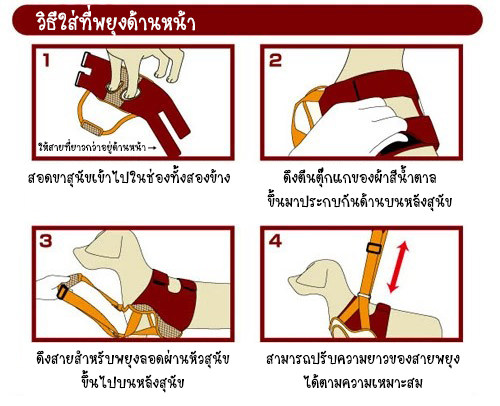 Petio Zuttone(Japan) ที่ช่วยพยุงสุนัขด้านหน้า