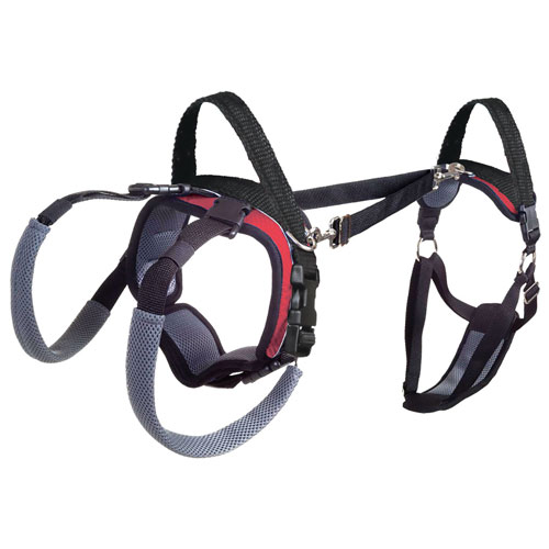 Solvit(USA) ที่ช่วยพยุง/ยกสุนัข Size S [แบบเต็มตัว]