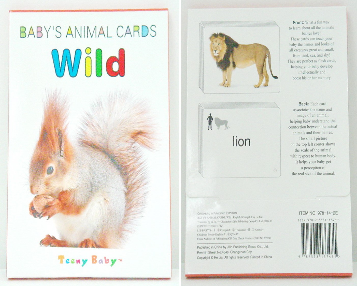 สมุดการ์ดคำศัพท์พร้อมส่ง Baby animal cards