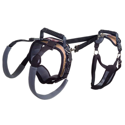 [ยี่ห้อของจีน] ที่ช่วยพยุง/ยกสุนัข Size M [แบบเต็มตัว]