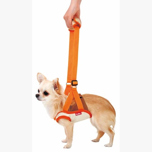 Petio Zuttone(Japan) ที่ช่วยพยุงสุนัขด้านหน้า