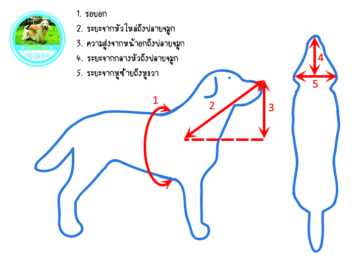 [มีเฉพาะไซส์เล็ก] ห่วงกันชนสำหรับสุนัขตาบอด รุ่นสีดำ (Blind Dog Halo)