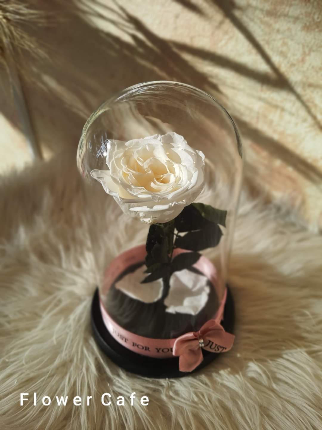 FOREVER ROSE กุหลาบอมตะในโดมแก้ว