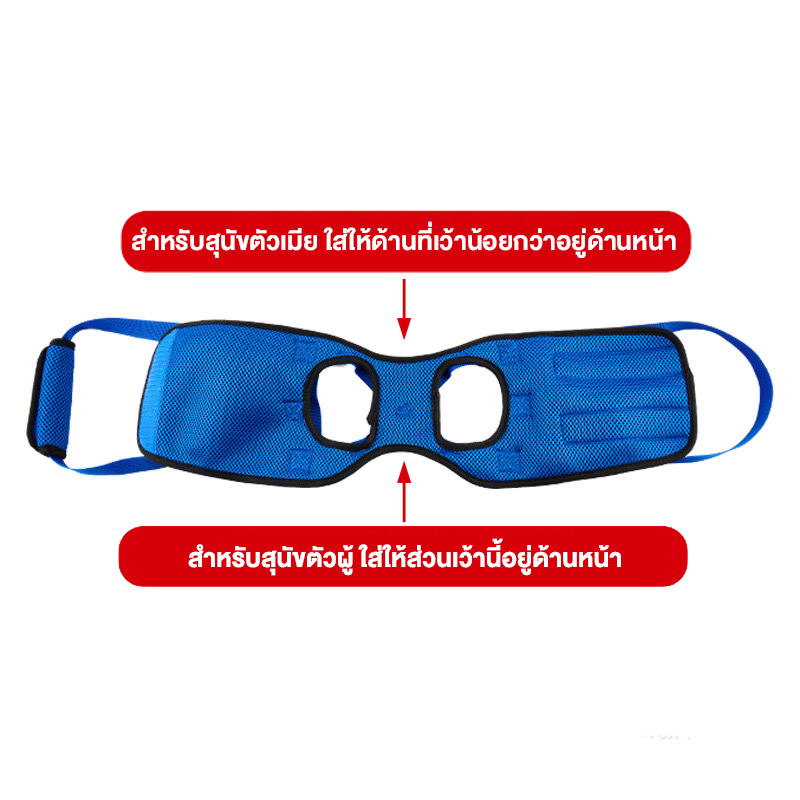 สายพยุงสุนัข ที่พยุงสุนัข ฝึกกายภาพบำบัด สำหรับขาหลัง