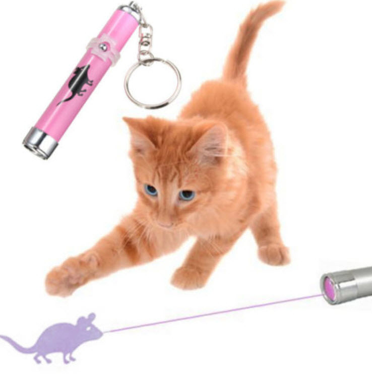 Laser Pointer หนู