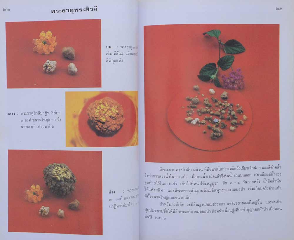 "ปิยารำลึก" เรื่องพระบรมสารีริกธาตุและพระอรหันตธาตุ โดย คุณหญิงสุรีพันธุ์ มณีวัต