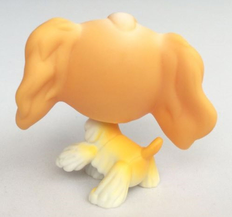 สุนัข Cocker Spaniel #79 สีน้ำตาล (หายากมาก)