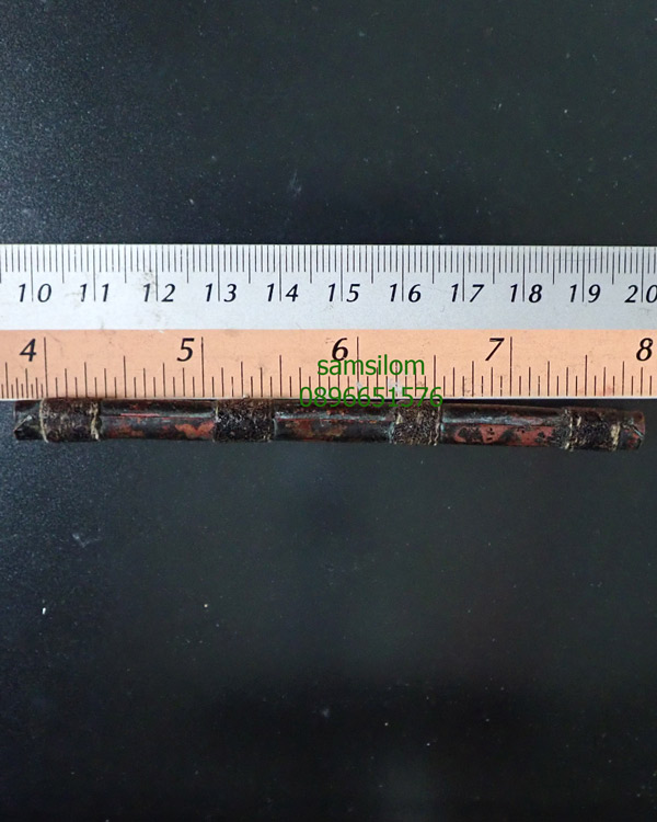 หลวงพ่อรุ่ง วัดท่ากระบือ ตะกรุดโทนสามปล้อง เนื้อแดง ยาว4นิ้ว นิยม