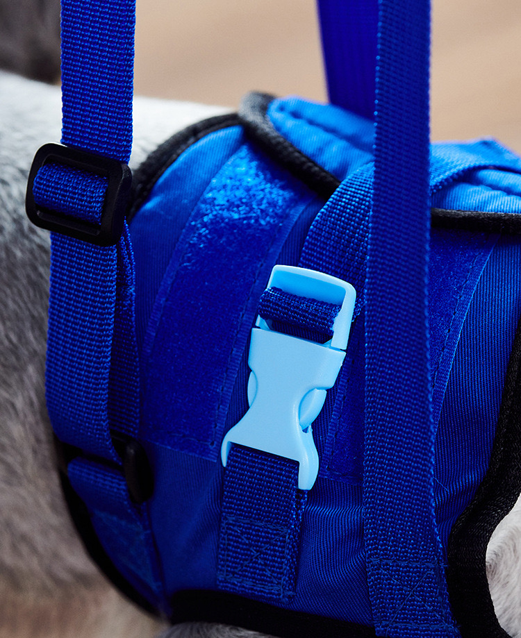 ที่ช่วยพยุงสุนัขด้านหลัง(China)