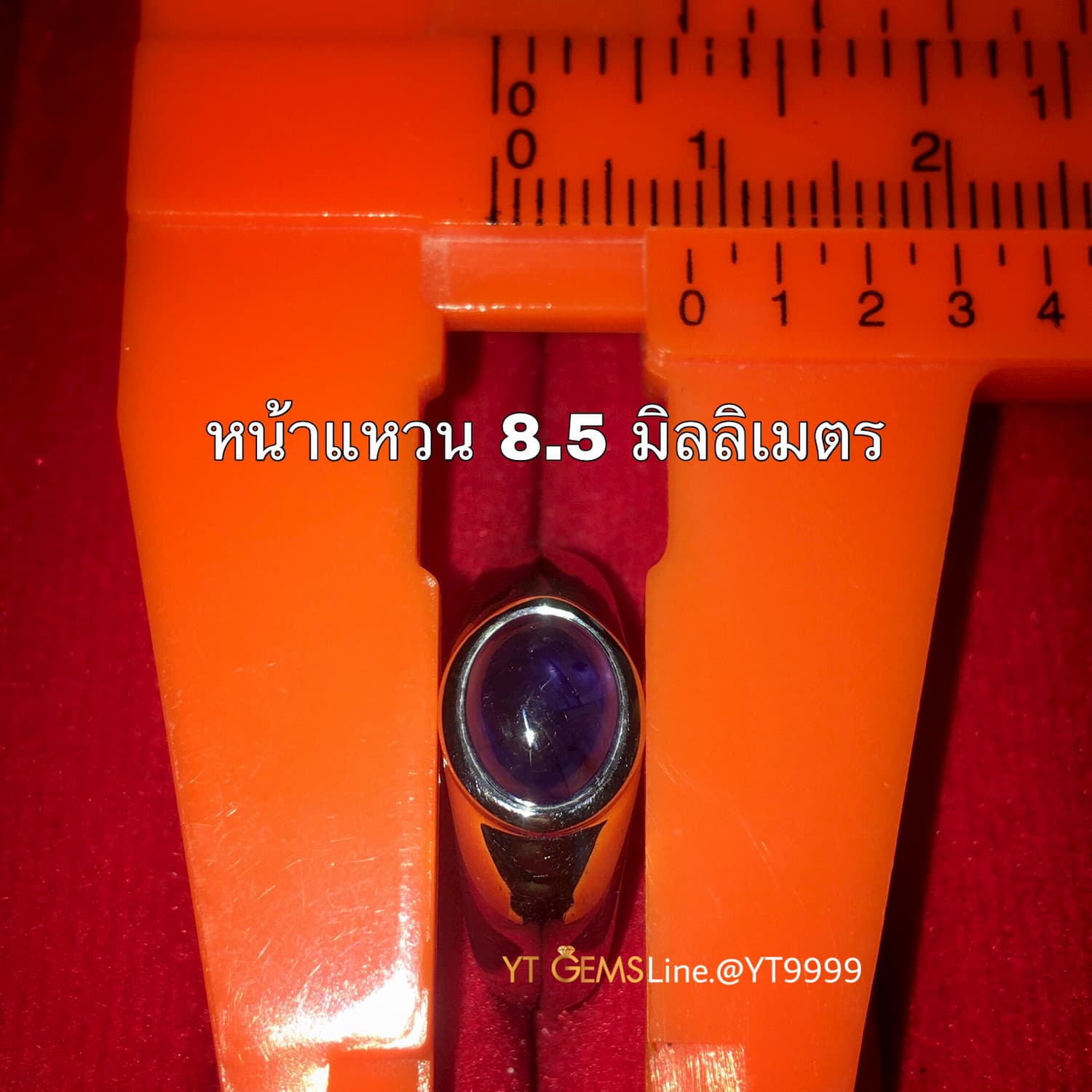 แหวนไพลิน แหวนเงินแท้ 92.5% ชุบทองคำขาว ประดับ พลอยไพลินแท้ YTG-10827 YTGEMS