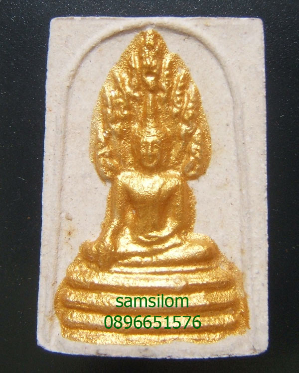 หลวงปู่บุดดา วัดกลางชูศรี พระนาคปรก