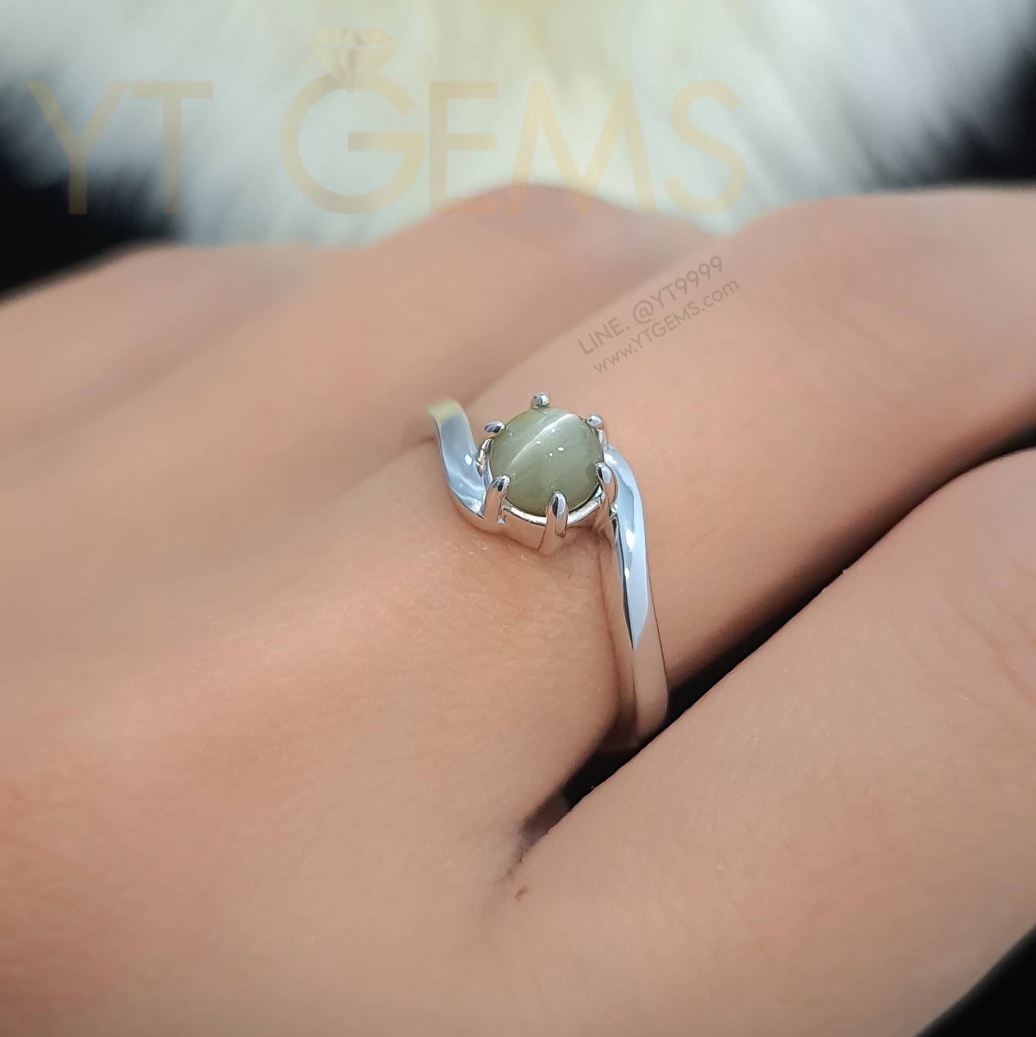 [สำหรับ ราคาส่ง ขั้นต่ำ 5 ชิ้น] แหวนไพฑูรย์ (พลอยแท้หายาก) เงินแท้ ชุบทองคำขาว (Chrysoberyl Cat's Eye) YTG-9635-WH YTGEMS 5 ชิ้น
